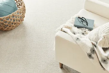 Carpet (2)